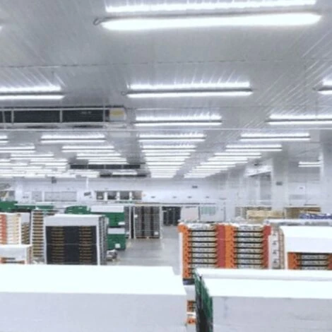 Tube Néon LED 90cm T5 14W (Pack De 10) - Blanc Chaud 2300K - 3500K - SILAMP – Image 2