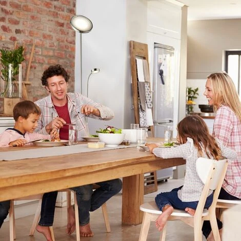 Lampadaire LED Dimmable Métal Lampe à Vasque Salon Orientable – Image 4