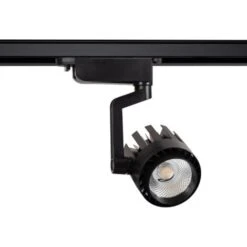 Spot LED Dora 30W Noir Pour Rail Monophasé Blanc Froid 5000K 36ºNoir