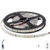 Ruban LED 4,8W/m DC12V 60LED/m Longueur 5m - Blanc Chaud 2800K