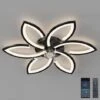 Ventilateur De Plafond Silencieux Avec Lumière Avec Télécommande Et éclairage APP Dimmable Couleur Luminosité 70W Créatif Acrylique Forme De Fleur Plafonnier Avec Ventilateur (Noir) [Classe énergétiqu